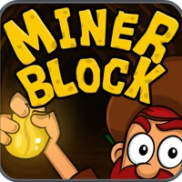 Miner Block