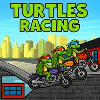 Turtles Racing